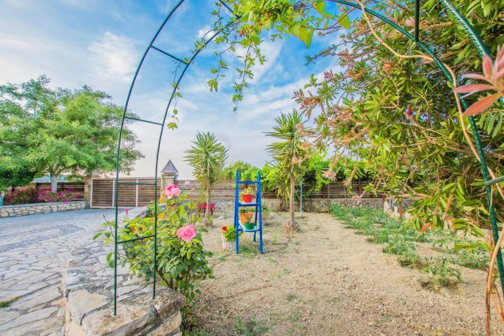 Villa Emily Zakynthos Tsilivi  Bagian luar foto